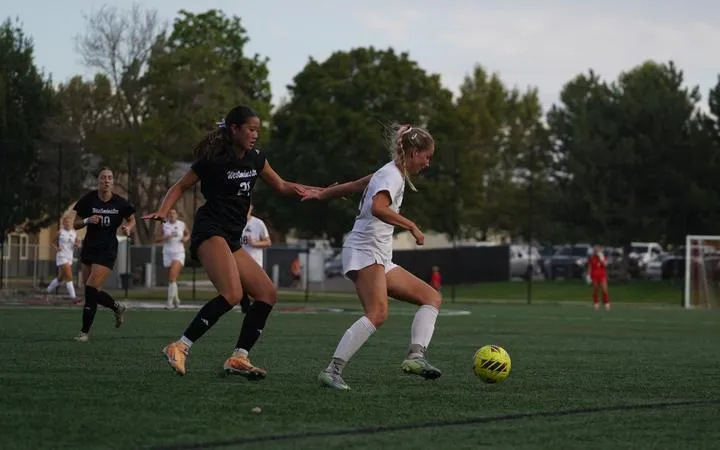 Griffins Down Nighthawks in 1-0 Battle