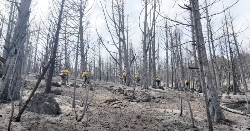 After over 7 weeks, the half-million-acre Big Grass Fire is fully contained
