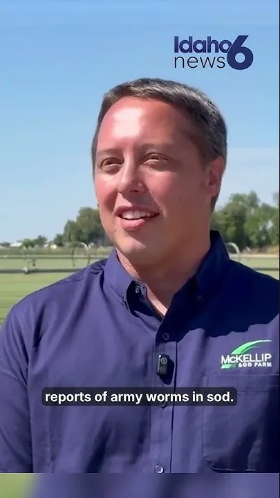 Armyworms invade Treasure Valley lawns (Video)
