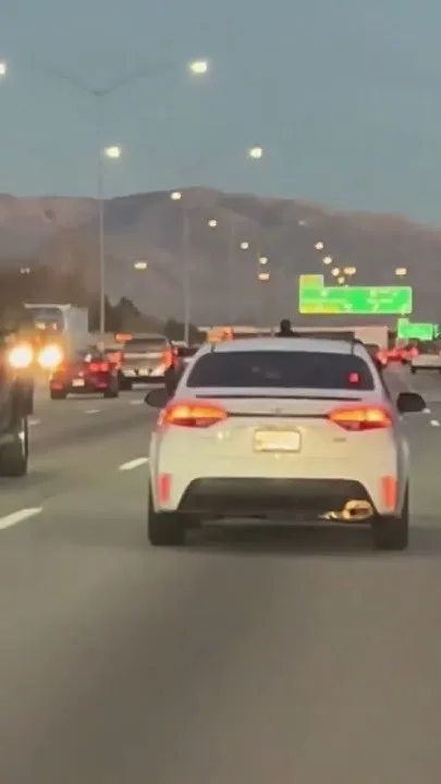 You have to see this! Motorcyclist crashes while doing wheelie on busy Idaho freeway (Video)
