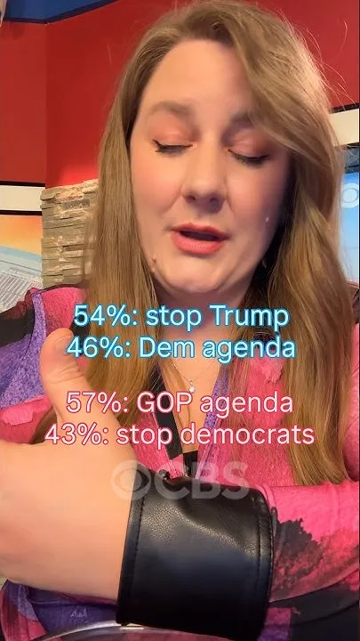 What is motivating Democrats and Republicans to vote in November (Video)