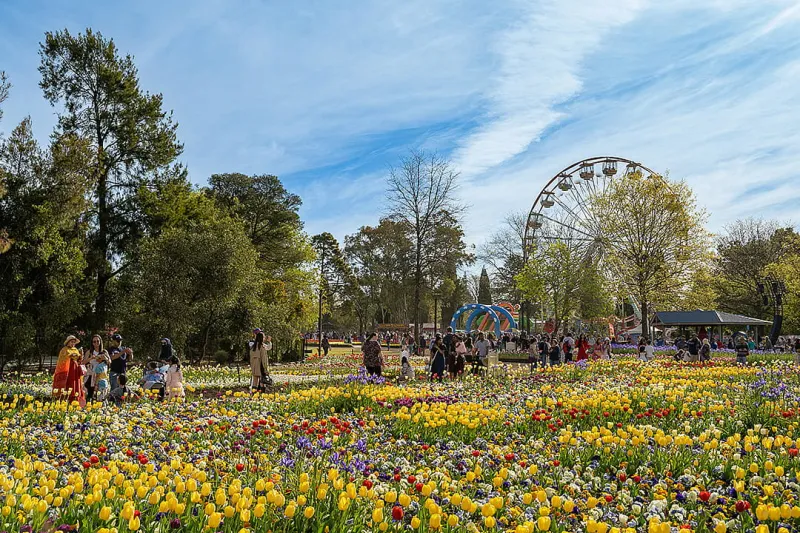 11 facts Americans might not know about Australia's capital