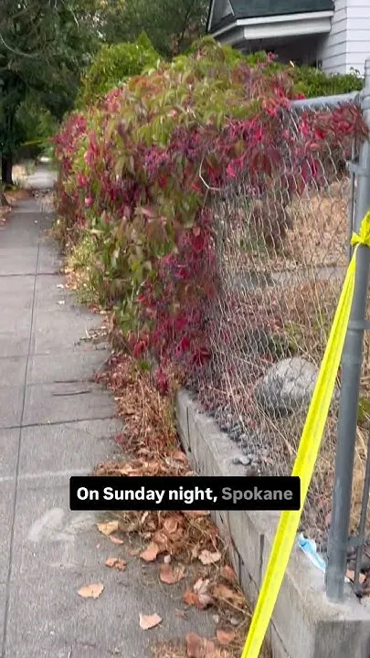 Medical examiner identifies man killed in Sunday stabbing (Video)