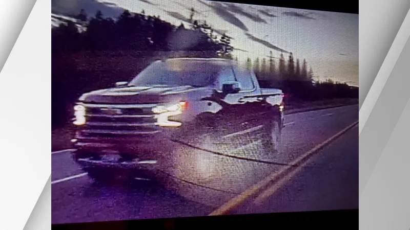 ISP seeks driver after Sunday night hit-and-run crashes two in Island Park