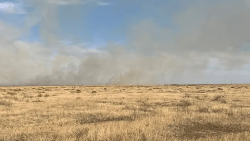 Cole Fire south of Boise mapped at 417 acres as crews halt forward spread
