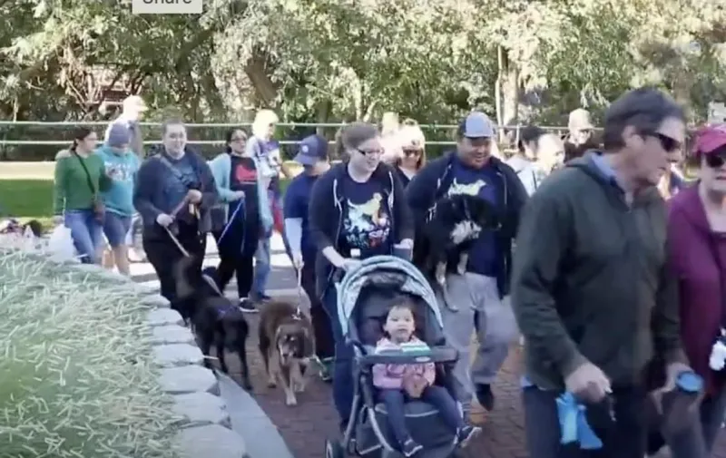 The Idaho Humane Society's See Spot Walk Fundraiser Is Returning