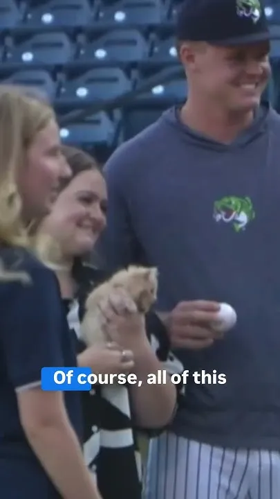 Cute video: Kitten throws out first pitch (Video)