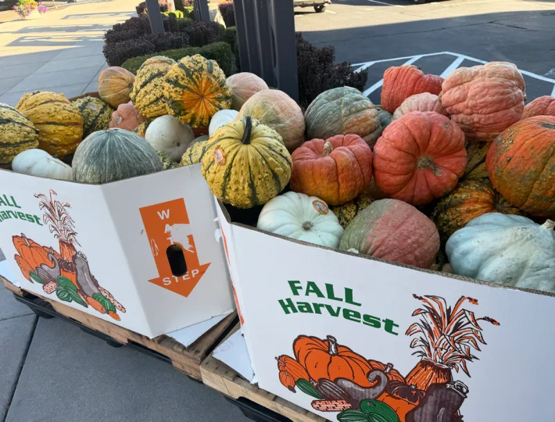 Boise Shoppers Overjoyed At Pumpkin Party Located Right Downtown