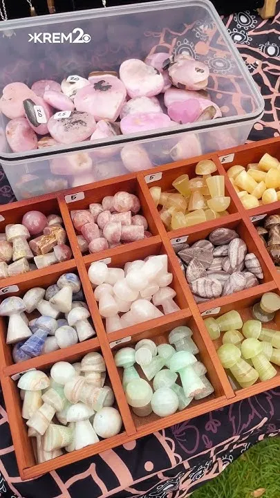 Spokane County Interstate Fair ASMR (Video)