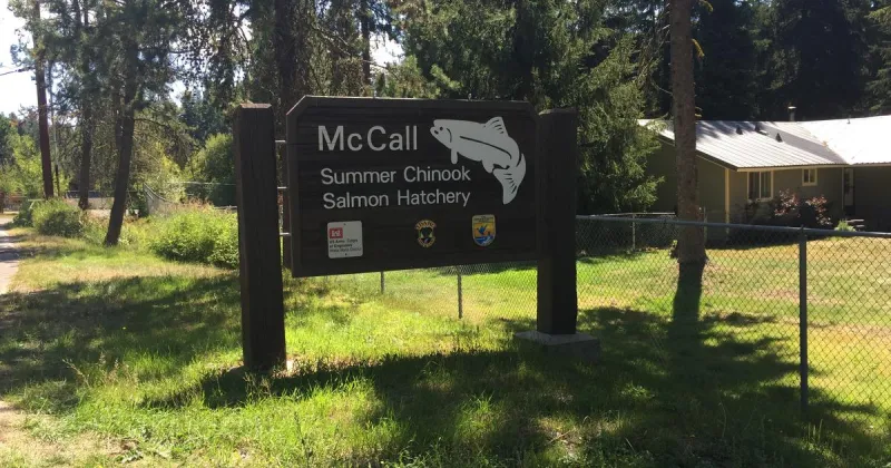 McCall Fish Hatchery closed to the public for construction beginning Sept. 14