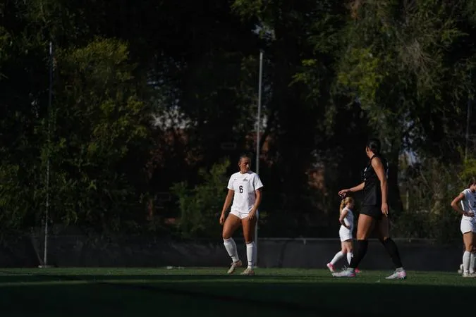 Nighthawks Upended by Simon Fraser