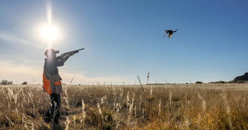 Salmon Region youth pheasant hunt scheduled for Saturday Oct. 10, 2026