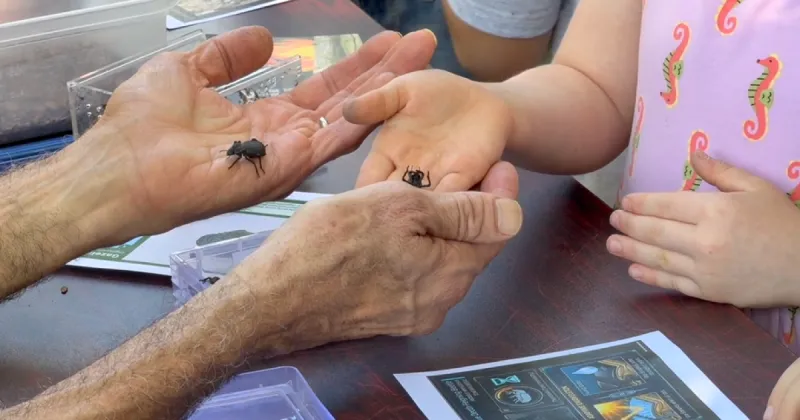 Families get up close with bugs at Idaho Botanical Garden's 25th annual Bug Day