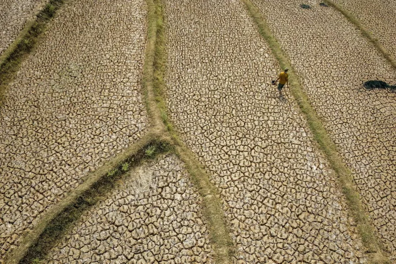 Super-sized El Nio could cause more than 450,000 heat deaths by February, study suggests
