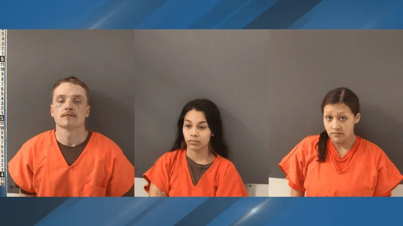Three arrested after ALPR alert leads Wilder police to stolen carjacking vehicle