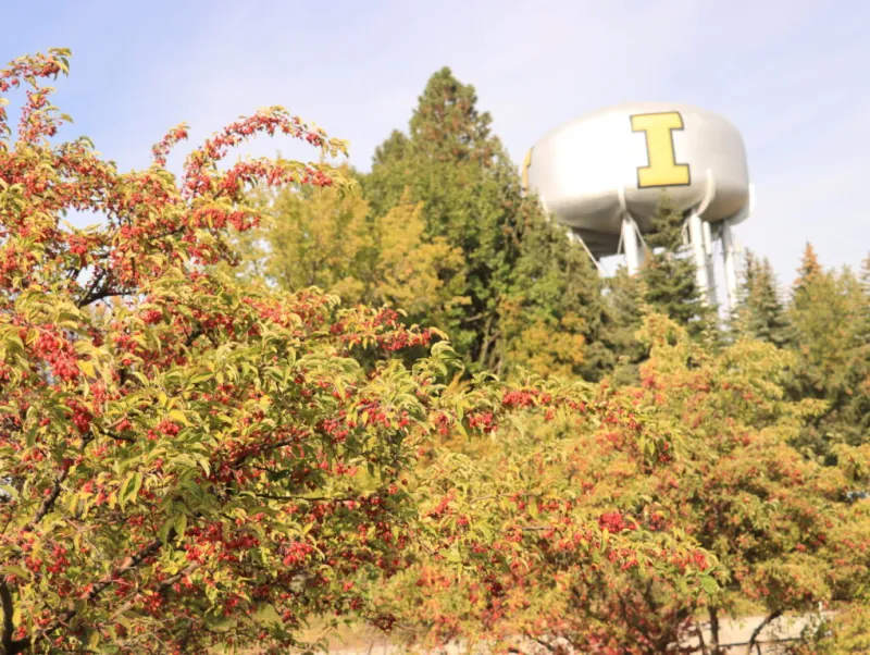 OPINION: Does not feel like fall yet