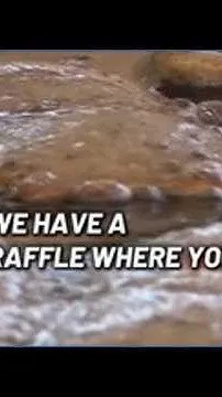 90th Spokane Greek Festival begins today! (Video)