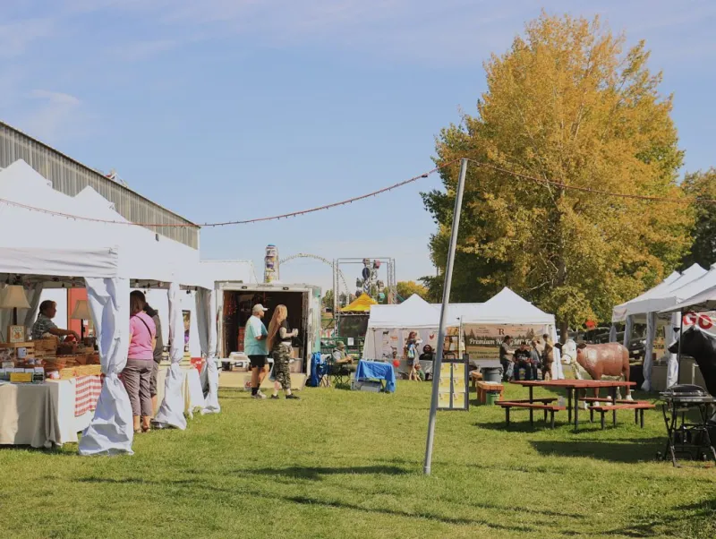 Latah County Fair brings Moscow together through food, music and exhibits