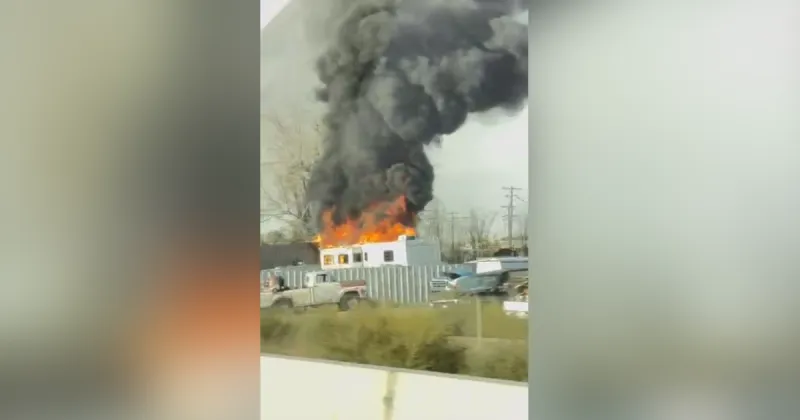 Four cats dead, multiple vehicles and structures damaged in RV fire