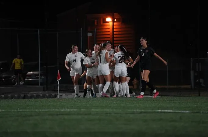 Three-Goal Night Powers Nighthawks Past Saints