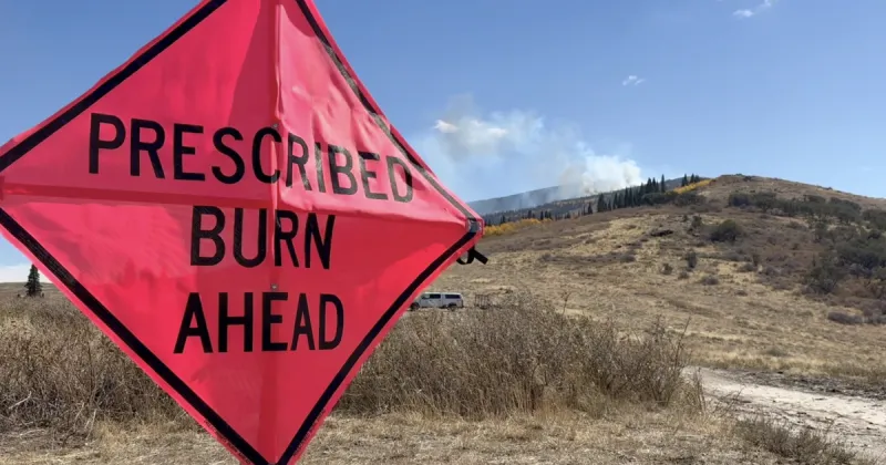 Forest Service ignites 5,000-acre prescribed fire near Elba-Oakley Pass in south central Idaho