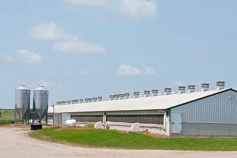What data on 11K farms reveals about the country's factory farm hotbed
