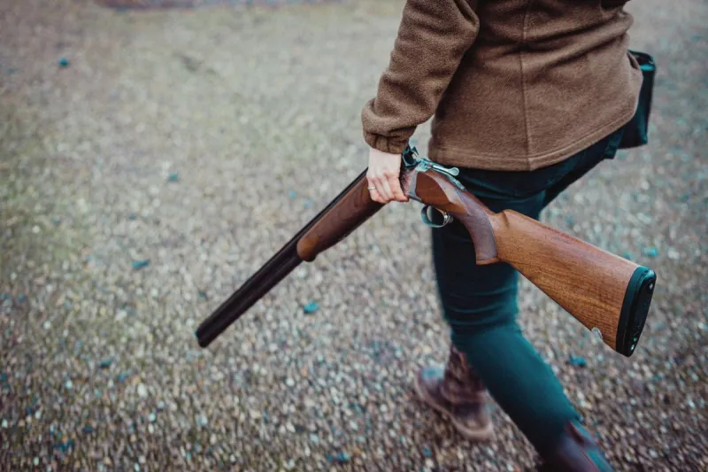 Idaho's Ballot This November Will Show 6 Guns Running for 'Official State Gun'
