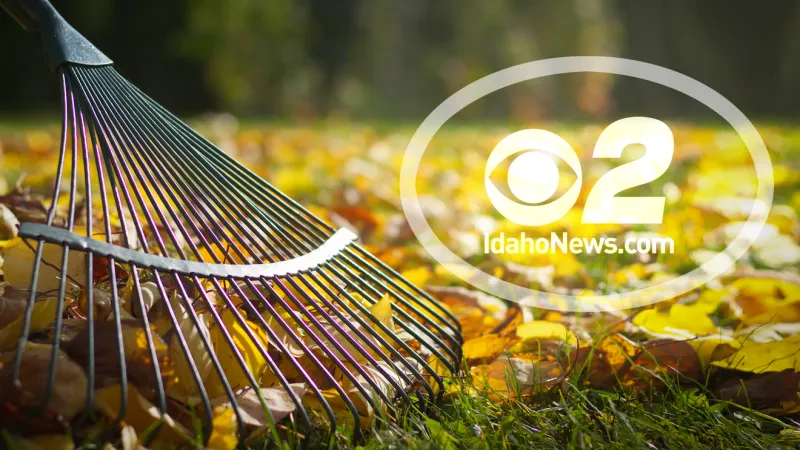 Caldwell calls for volunteers as Rake Up Caldwell returns Nov. 14 morning