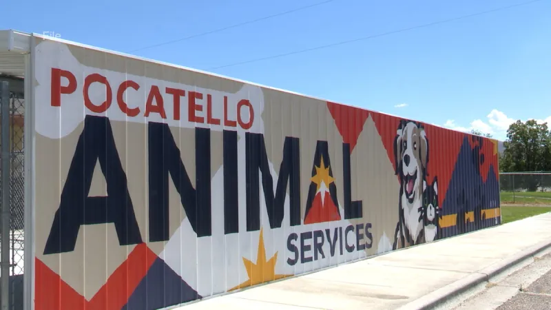 Adoption fee prices increase at Pocatello Animal Services due to high animal care costs