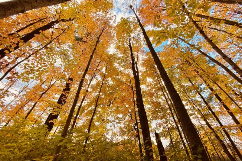 Idaho's South Hills Are Glorious Right Now: Resident Shares Pics