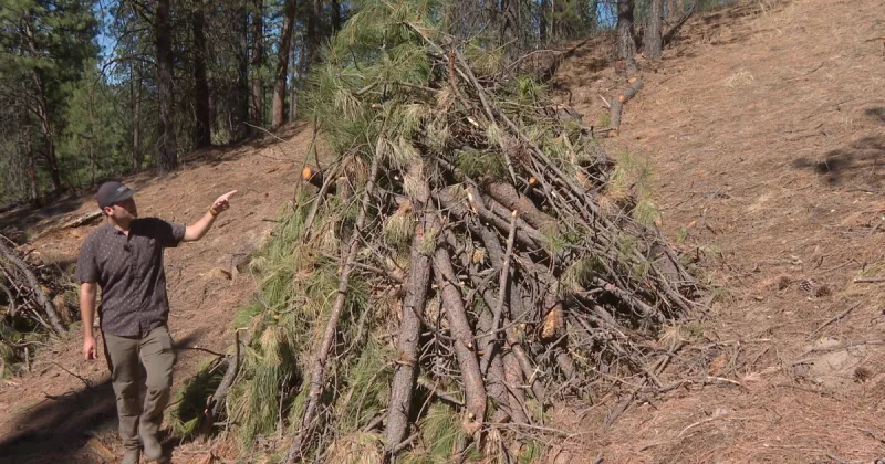How forest-thinning projects are reducing wildfire risk in Southwest Idaho