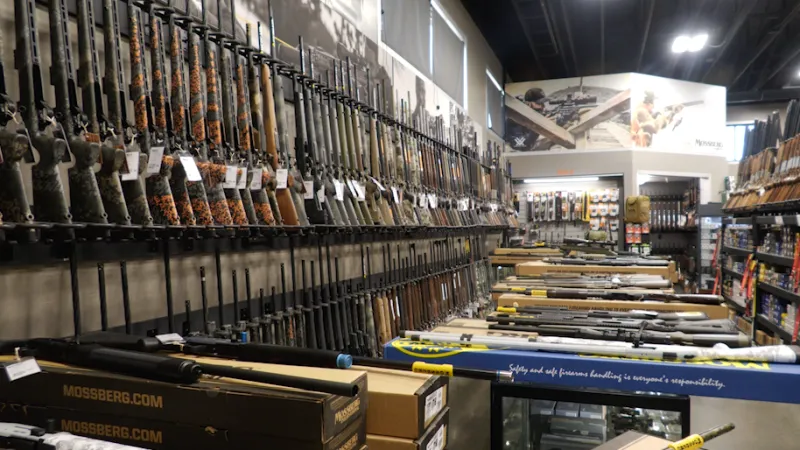 Six iconic firearms compete in Idaho state gun vote