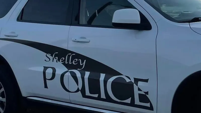 Emergency crews respond to pedestrian crash in Shelley