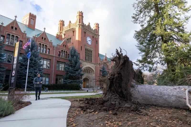 Connecting with one's college