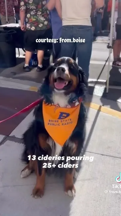 Idaho Cider Fest returns to downtown Boise (Video)