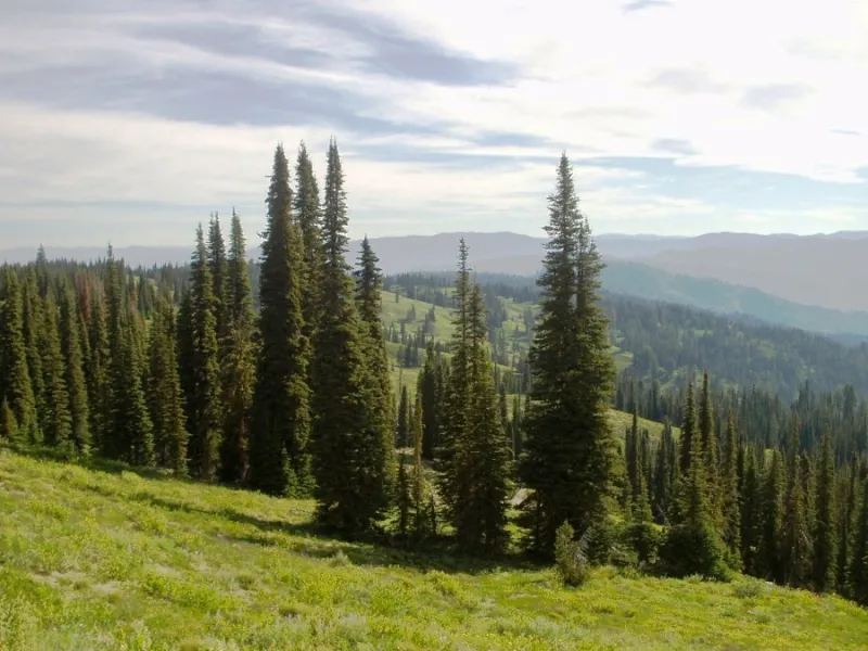 Idaho senators seek three-year Secure Rural Schools extension