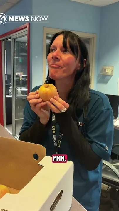 KXLY 4 New Now crew reactions to the inside of their apples being red. #4newsnow #spokane (Video)