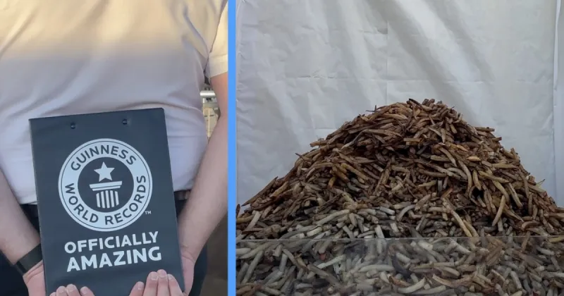 Idaho sets new Guinness World Record for largest serving of French fries