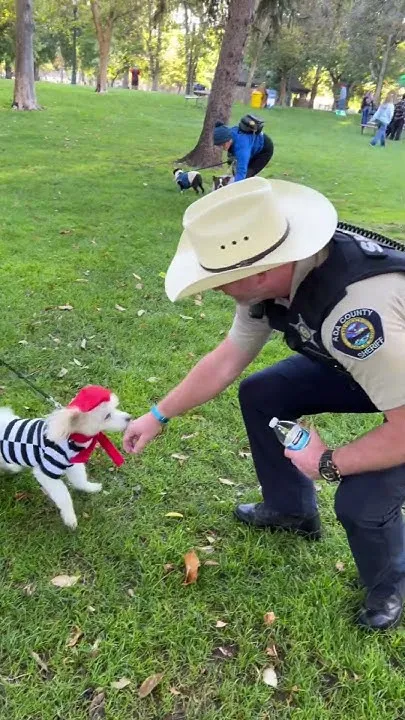 See Spot Walk 2026 (Video)