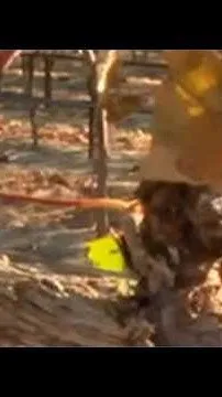Vineyard sees damage worth thousands from summer storms (Video)
