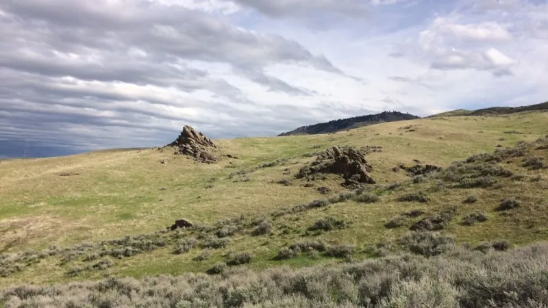 Ridge to Rivers launches annual survey to gather input on Boise Foothills trails