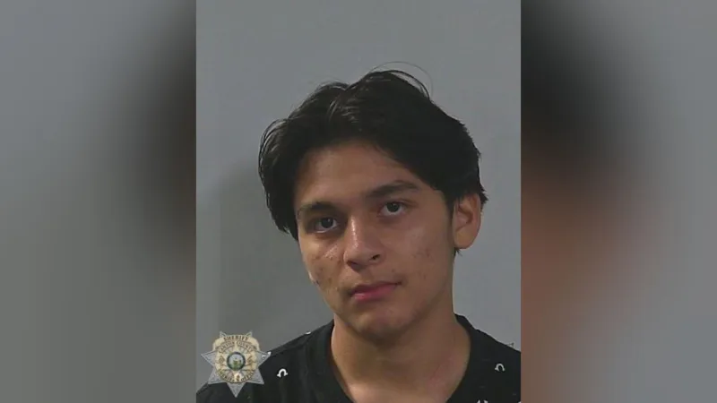 Police: Driver arrested after pursuit, alleged vehicle ramming and threats