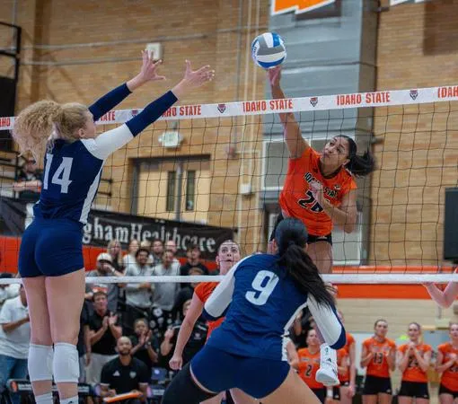 Bengals Head to Utah to Face SUU and Utah Tech