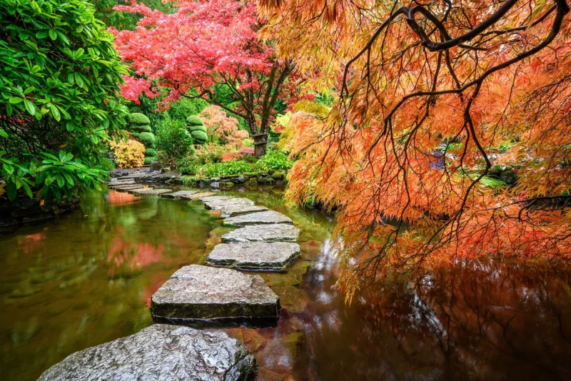 Tired of heat and storms? Visit these places to enjoy fall's beauty