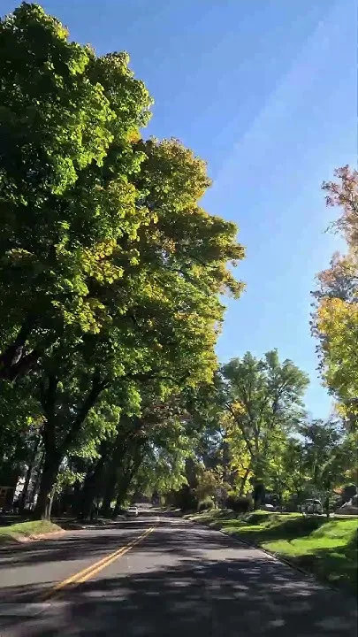 A beautiful fall drive in Spokane! (Video)