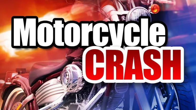 Highway 31 Crash: Harley rider hospitalized after colliding with bear