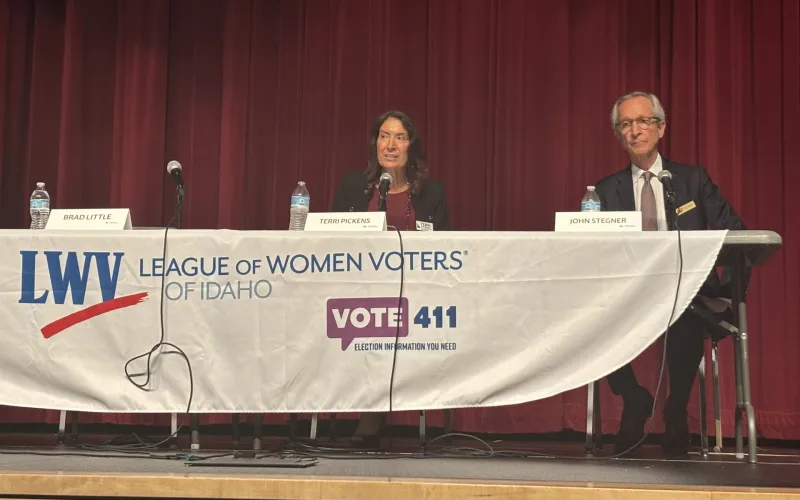 A Pickens-Stegner campaign dustup - centered on one word in a court opinion