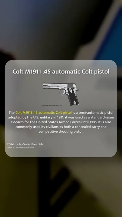 Idahoans to vote on official state gun this upcoming election (Video)