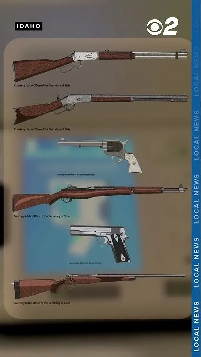 Guns on the ballot | Which firearm best represents Idaho? (Video)