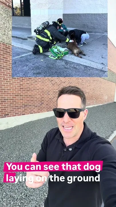Spokane Valley Firefighters help dog trapped in burning car (Video)